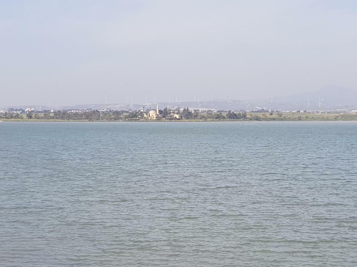 Haig'S Dream Flat On The Beach Ларнака Экстерьер фото